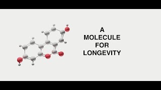 Prof Patrick Aebischer  A novel molecule to promote longevity [upl. by Moreno]