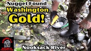 Striking Gold in Nooksack River Found a Nugget at a Hotspot [upl. by Allemaj]