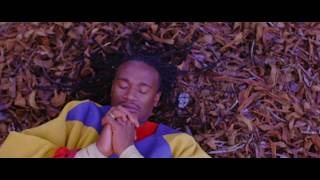 Jah Prayzah  Hokoyo Official Music Video [upl. by Lleon]