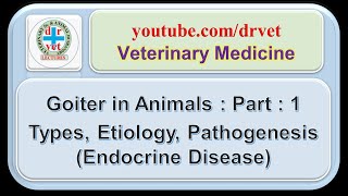 Goiter in Animals  Part  1  types definition etiology pathogenesis [upl. by Los630]