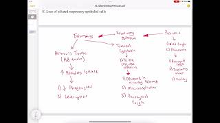 Bordetella Pertussis Infection [upl. by Roxane171]