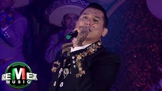 Edwin Luna y La Trakalosa de Monterrey  Borracho de amor  versión mariachi Video Oficial [upl. by Einhoj]