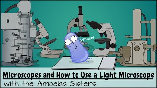 Microscopes and How to Use a Light Microscope [upl. by Coulson482]