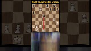 Rook exchange for Queen 🗿  Checkmate shorts chess brilliantmove brilliant [upl. by Arratahs]