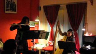 Concerto quotWillafjordquot Duo Dulcimer Flauto Arpa celtica [upl. by Reuven875]