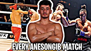 EVERY ANESONGIB BOXING MATCH FROM JAKE PAUL TO SLIM [upl. by Eleaffar]