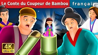 Le Conte du Coupeur de Bambou  Tale of the Bamboo Cutter in French  Contes De Fées Français [upl. by Aivalf337]