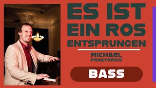 Es ist ein Ros entsprungen Michael Praetorius BASS [upl. by Recor378]