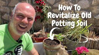 DIY Potting Soil Recipe  Easy amp CostEffective [upl. by Hwu208]