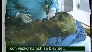 Ismannen Ötzi var en sationell upptäckt 1991 i Alperna [upl. by Hisbe356]