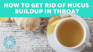 How to Get Rid of Mucus Buildup in Throat  Home Remedies [upl. by Anerak197]