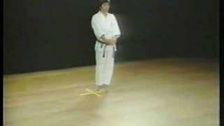 Bassai Dai  Shotokan Karate [upl. by Ojaras]