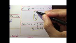 Explicação RAMIFICAÇÕES DE HIDROCARBONETOS RAMIFICADOS Nomenclatura dê hidrocarbonetos [upl. by Llerref623]