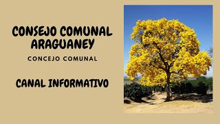 Noti Araguaney 19 10 2024 Taller Agenda Concreta de Acción con los 21 Consejos Comunales [upl. by Phaedra]