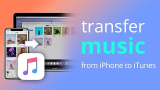 How to Transfer Music from iPhone iPad iPod touch to iTunes Windows amp Mac [upl. by Ainitsirhc]