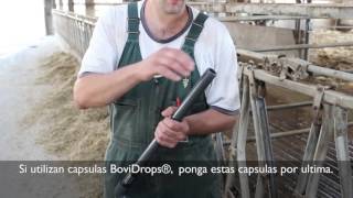 Bolus Gun Video with Spanish Translation [upl. by Iborian637]