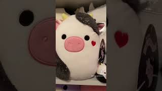 squishmallowsquad cute squishmallowssquad squishmallowbuddys unboxing [upl. by Htaras]