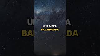 Evita la Debilidad en Tus Piernas con Estos 7 Alimentos Esenciales  Estoicismo para una Vejez Sabia [upl. by Brew345]