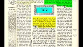 תלמוד בבלי  גמרא  בצורה שלא הכרתם שיעור 1 talmud learning tora4all [upl. by Nylssej553]