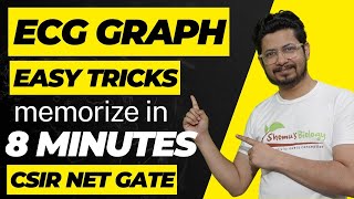 How to remember ECG rhythms  ECG graph made easy  Tricks to learn ECG graph [upl. by Alaehcim]