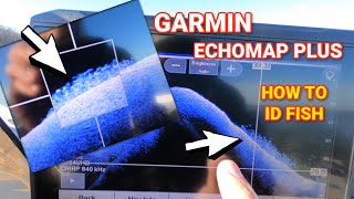 Tips amp Tricks to ID Fish on Your Garmin Echomap Plus Unit  LIVESCOPE [upl. by Halyk]