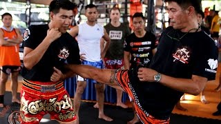 10 Muay Thai Techniques by Legends [upl. by Benjie]