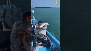 Dont make this mistake under the sea shorts shortvideo facts fishing [upl. by Jamal]