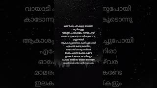 manikya chirakulla lyrics shortsfeed shortvideo lyrics malayalam trending viral [upl. by Quenna]