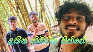 දකින හිමිවන සිහිනේ  cover song💙💜 thushan risara tharusha cneᴅɪᴛᴢ 1million [upl. by Annairb]