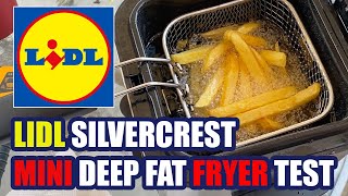 Lidl Silvercrest Mini Deep Fat Fryer Review [upl. by Eluj]