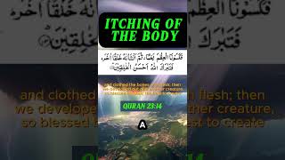 QURANIC REMEDIES FOR BODY ITCHING 😌😌shorts viral quran bodyitch [upl. by Einaffets]