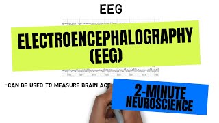 2Minute Neuroscience Electroencephalography EEG [upl. by Meesaw]