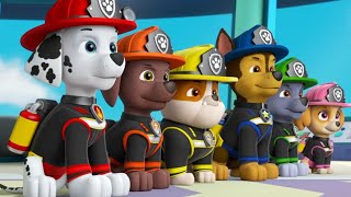 PAW PATROL Ultimate Rescue PUPS STOP the FIRE [upl. by Yendroc219]