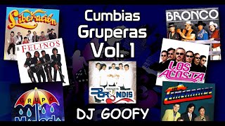 DJ GOOFY  Cumbias Gruperas Video Megamix 1 [upl. by Larena]