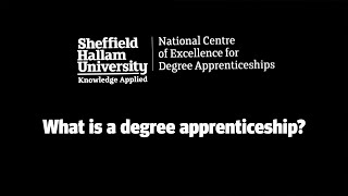 What is a degree apprenticeship [upl. by Burrow938]