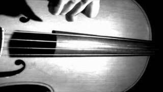 Cello 2  more high speed video [upl. by Brathwaite]