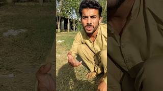 Bhai nahe a Raha hai 😄😂 worldoffools comedy funny realfools trendingshorts ￼ [upl. by Lebbie243]