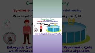 Endosymbiotic Theory symbiosis evolution bacteria biology science teacherresources cells [upl. by Philine663]