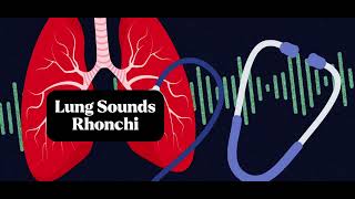 Understanding Rhonchi Lunch Sounds Accurate Lung Assessment [upl. by Aicilat632]