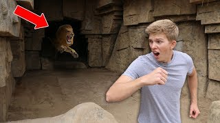 Exploring Secret Abandoned Zoo NOT SAFE [upl. by Nestor]