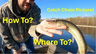 How to Catch Chain Pickerel Where to go [upl. by Aiset]