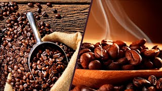 Arabica vs Robusta Coffee Beans The Ultimate Guide [upl. by Wylie]