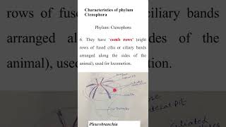 Characteristics of Ctenophorazoologyshort QuestionADSBs [upl. by Milurd]