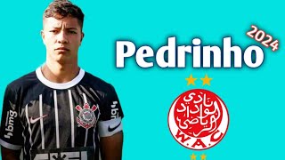 كل ما قدمه بيدرينهو لاعب كورنثيانز البرازيلي تحت 20 عام  اهداف ومهارات Pedrinho Corinthians U20 [upl. by Anha808]