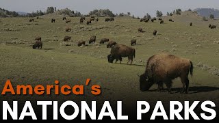 Americas 62 National Parks Explained [upl. by Dodwell]