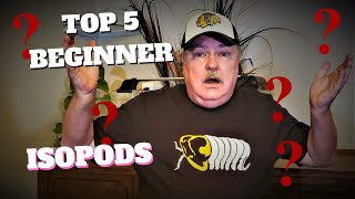 Top 5 Beginner Isopods [upl. by Annaert]