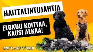 JAHTIKAUSI 2024 KÄYNTIIN  MAHTAVA AAMU [upl. by Jerald585]