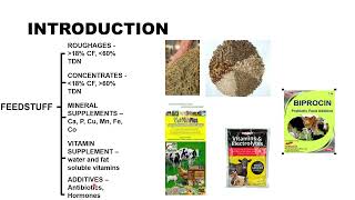 CLASSIFICATION OF FEEDSTUFF [upl. by Mansur]