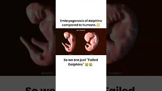 What is embryogenesis Embryogenesis Embryo embryology  Embryogenesis science [upl. by Aggi874]