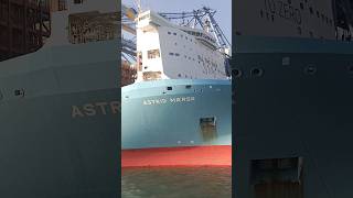 ASTRID MAERSK Biggest Container ship🚢🌍💙❤️containership biggest ship maersk views subscribe [upl. by Thor]